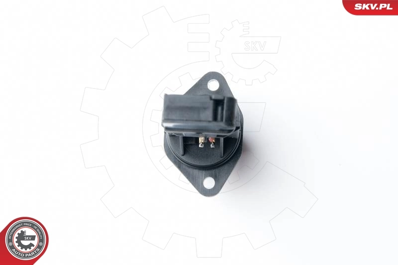 Mass Air Flow Sensor